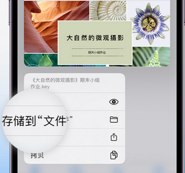 哈密apple维修中心分享iPhone文件应用中存储和找到下载文件