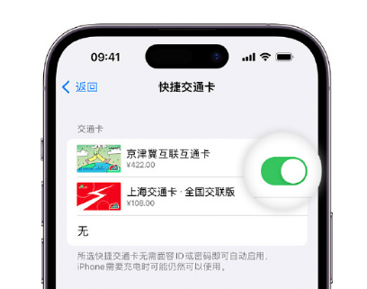 哈密apple维修点分享iPhone上更换Apple Pay快捷交通卡手绘卡面 