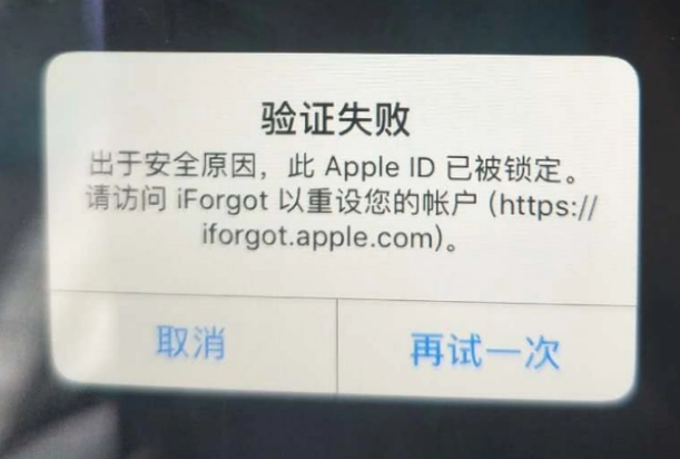 哈密iPhone维修分享iPhone上正常登录或使用AppleID怎么办 