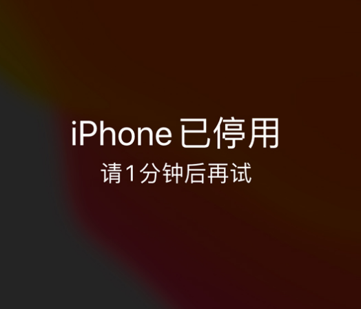 哈密苹果手机维修分享:iPhone 显示“不可用”或“已停用”怎么办？还能保留数据吗？ 