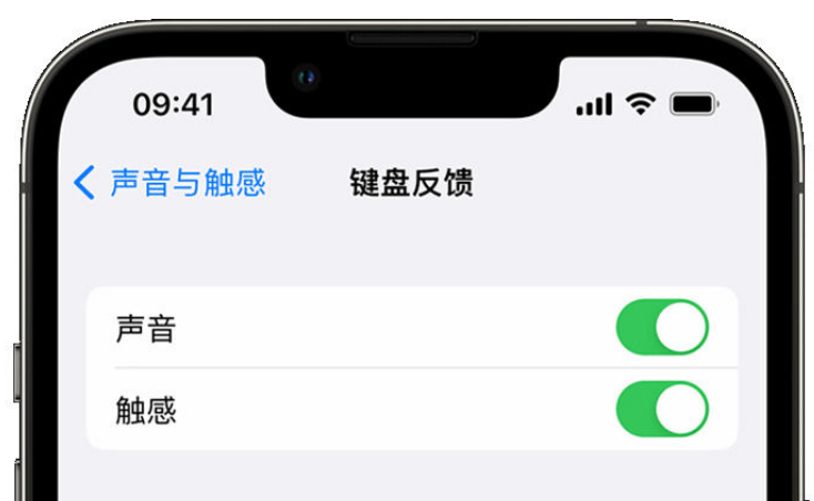 哈密苹果手机维修分享iPhone 14触感键盘使用方法 