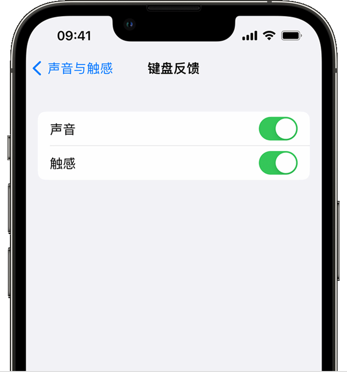 哈密苹果14维修店分享如何在 iPhone 14 机型中使用触感键盘 