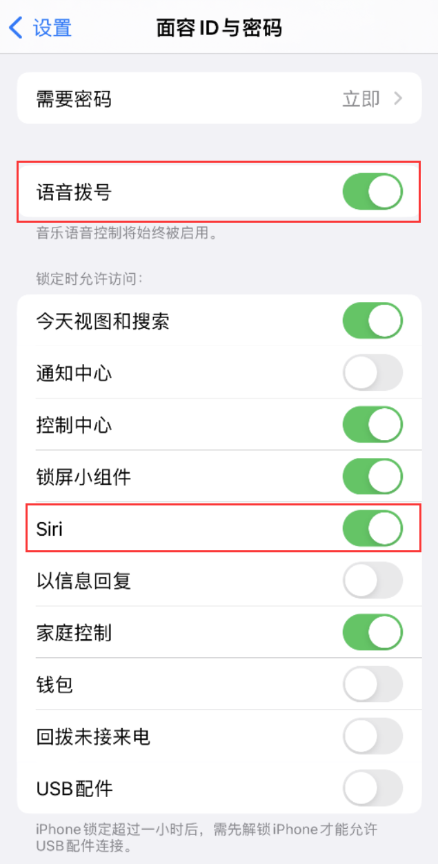 哈密苹果维修网点分享不解锁 iPhone 的情况下通过 Siri 拨打电话的方法 