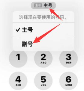 哈密苹果14维修店分享iPhone 14 Pro Max使用副卡打电话的方法 