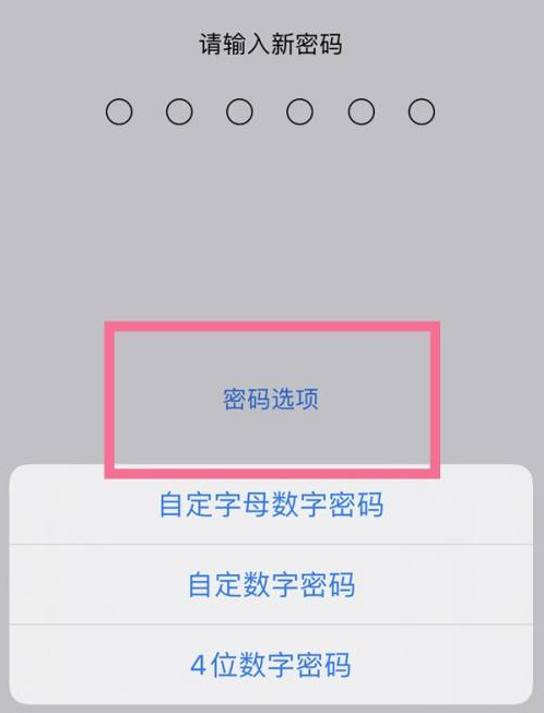 哈密苹果14维修分享iPhone 14plus设置密码的方法 