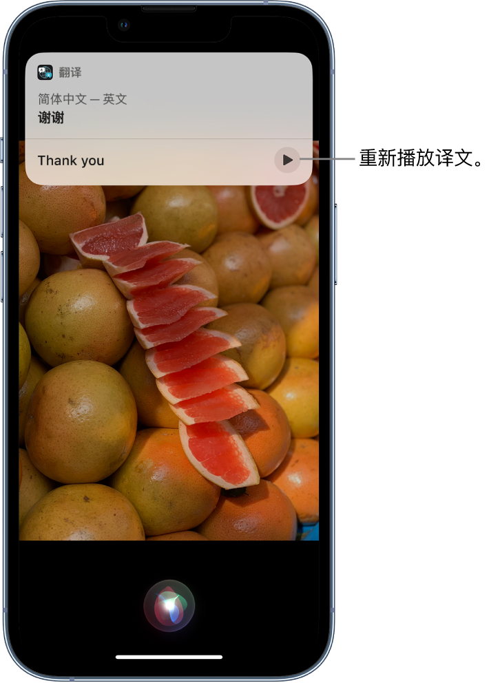 哈密苹果14维修分享 iPhone 14 机型中使用 Siri：了解 Siri 能帮你做什么 