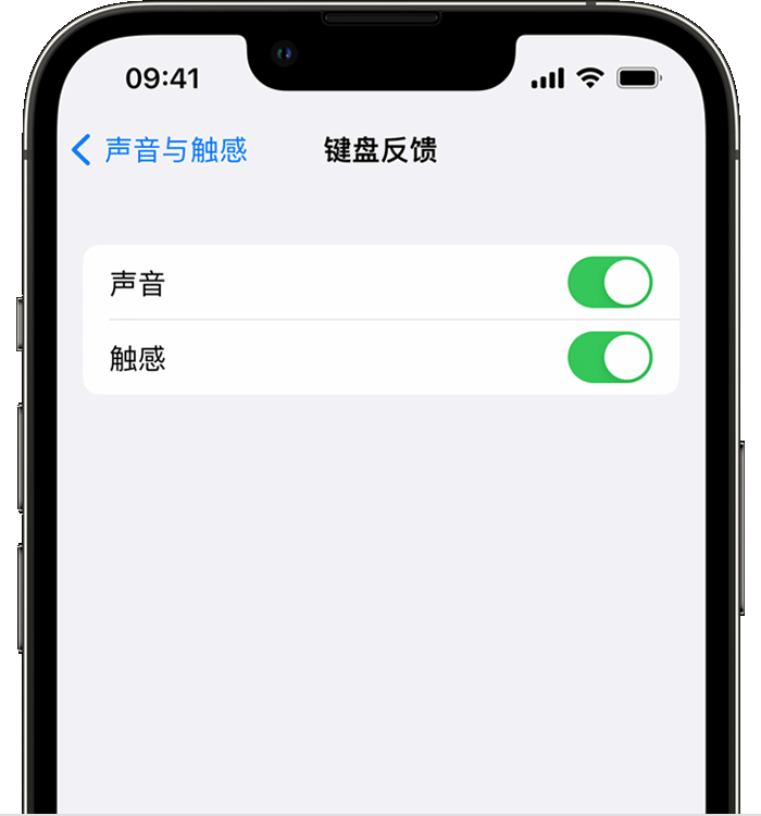 哈密苹果14维修分享iPhone 14 系列机型如何开启键盘声音或触感反馈 