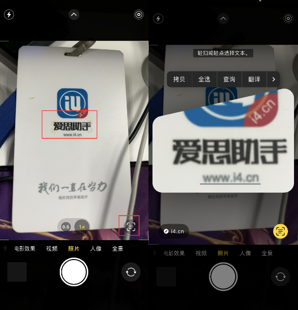 哈密苹果手机维修分享升级iOS 16后如何通过相机翻译文本 