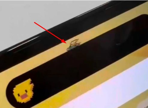 哈密苹果14维修分享iPhone 14 Pro Max灵动岛怎么养宠物 