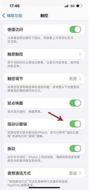 哈密苹果手机维修分享iPhone手机如何设置摇一摇删除文字 