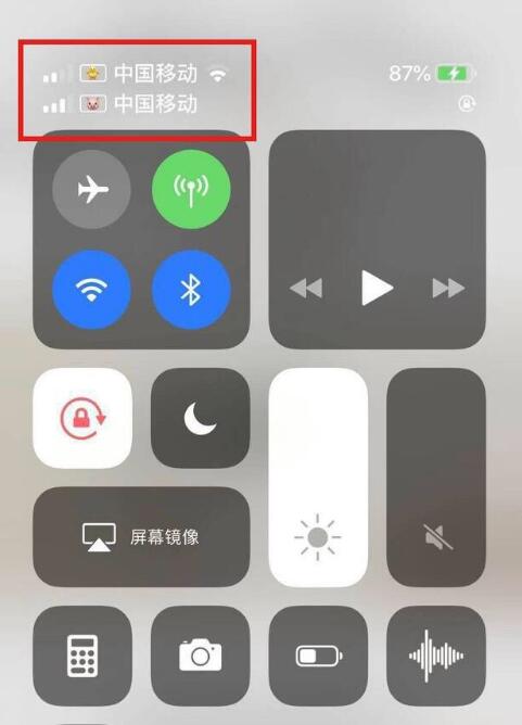 哈密苹果手机维修分享为 iPhone 12 双卡设置标签 